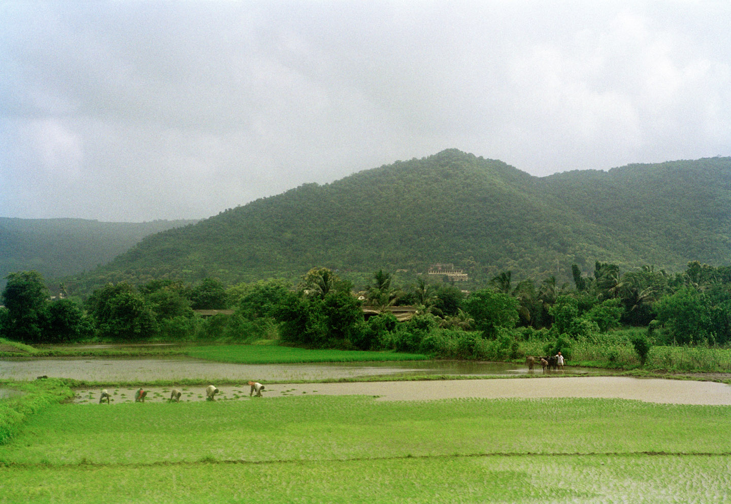 Maharastra, india, 2006